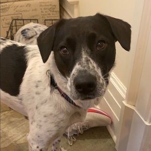 Meet your Posher, Antonia